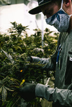 Load image into Gallery viewer, 8474' Utility Grow Shirt (LT)