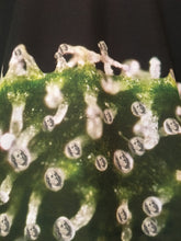 Load image into Gallery viewer, Ben Franklin Trichomes